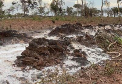 Imagem da notícia PMA autua infrator por queima irregular de leiras em Camapuã